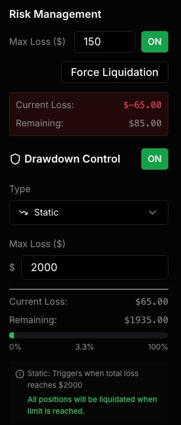 Maximum loss and risk settings in the Replay simulator